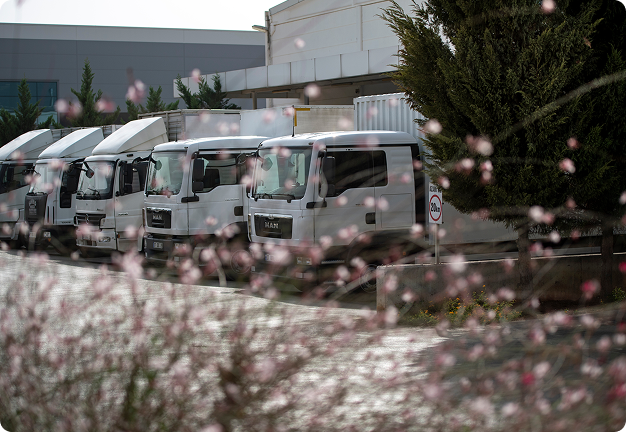 Buket Yıkama Urunler Yiyecek Icecek D